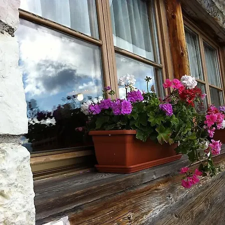 Aparthotel Wellness Villa Di Bosco-2